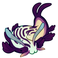 Thumbnail image for C-055: Cavendish