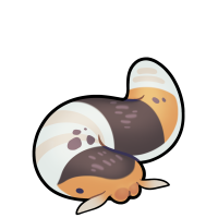 Thumbnail for C-168: Boolew