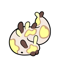 Thumbnail image for C-116: Banana-chocolate pie!