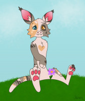 Submission thumbnail